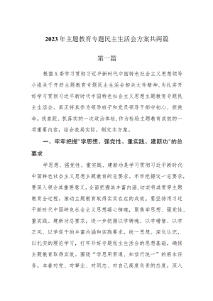 2023年主题教育专题民主生活会方案共两篇.docx
