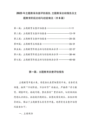2023年主题教育自查评估报告、主题教育总结报告及主题教育阶段总结与经验做法（共6篇）.docx
