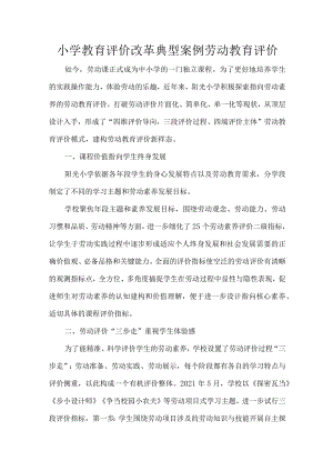 小学教育评价改革典型案例劳动教育评价.docx