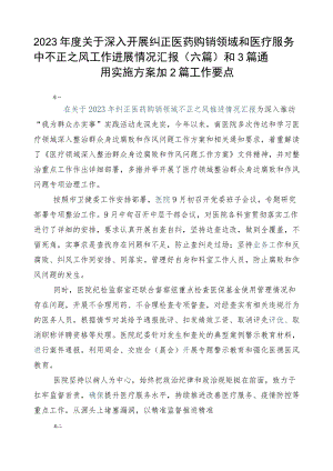 2023年度关于深入开展纠正医药购销领域和医疗服务中不正之风工作进展情况汇报（六篇）和3篇通用实施方案加2篇工作要点.docx