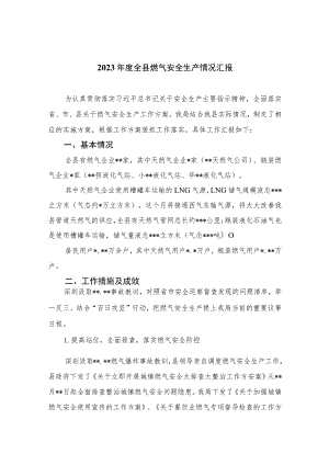 2023年度全县燃气安全生产情况汇报精选版八篇合辑.docx