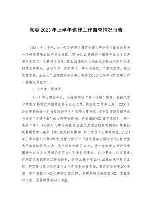 2023年上半年党建工作自查情况总结报告2300字.docx