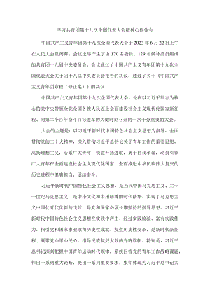 学习共青团第十九次全国代表大会精神心得体会二.docx