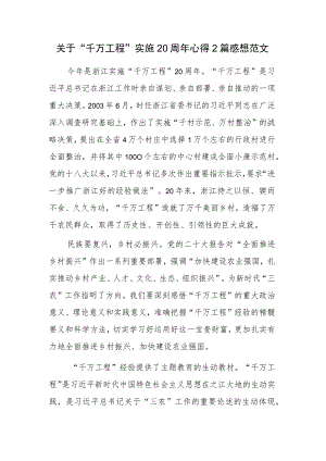 关于“千万工程”实施20周年心得2篇感想范文.docx