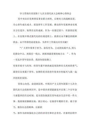 派出所所长学习贯彻共青团第十九次全国代表大会精神个人心得体会 （汇编5份）.docx