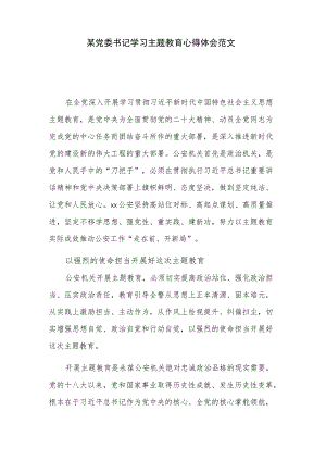 某党委书记学习主题教育心得体会范文.docx