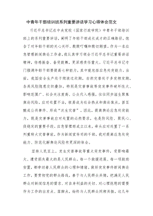 中青年干部培训班系列重要讲话学习心得体会范文.docx