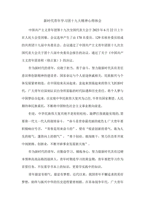 新时代青年学习团十九大精神心得体会五.docx