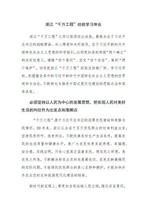 浙江“千万工程”经验学习体会范文两篇.docx