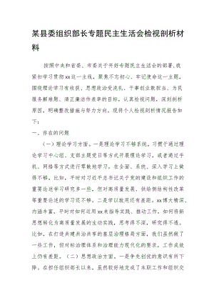 某县委组织部长专题民主生活会检视剖析材料.docx