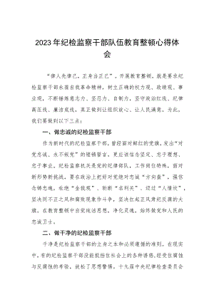 2023全国纪检监察干部队伍教育整顿的心得体会感悟材料两篇模板.docx