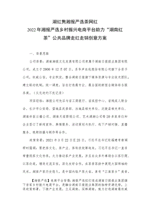 湖红隽湘报严选茶网红2022年湘报严选乡村振兴电商平台助力“湖南红茶”公共品牌走红走销创意方案.docx