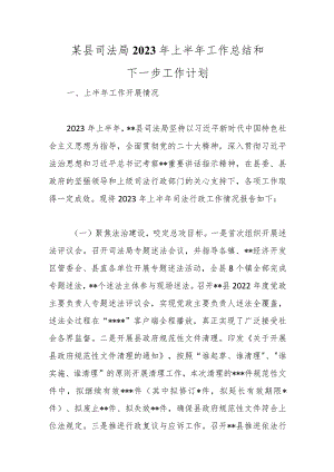 某县司法局2023年上半年工作总结和下一步工作计划范本.docx