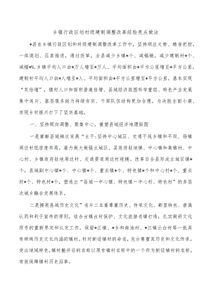 乡镇行政区划村级建制调整改革经验亮点做法.docx