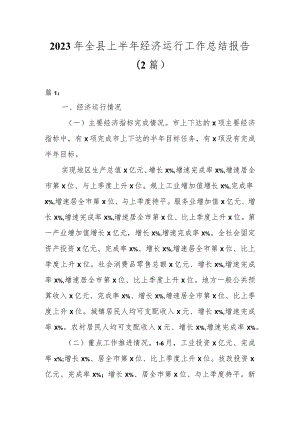 2023年全县上半年经济运行工作总结报告（2篇）.docx