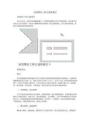 试用期员工转正述职报告.docx