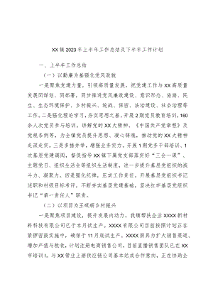 优选XX镇2023年上半年工作总结及下半年工作计划.docx