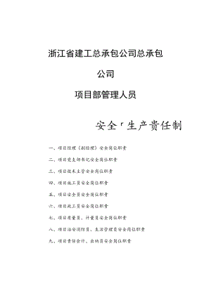 安全责任项目范文.docx