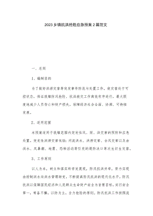 2023乡镇抗洪抢险应急预案2篇范文.docx