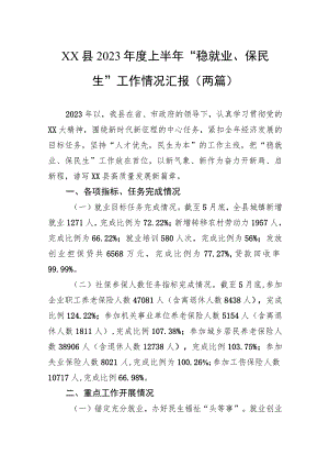 XX县2023年度上半年“稳就业、保民生”工作情况汇报（两篇）.docx