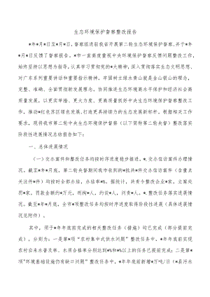 生态环境保护督察整改报告.docx