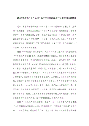 2023年聚焦“千万工程”二十年引领浙江乡村巨变学习心得体会精选10篇模板.docx