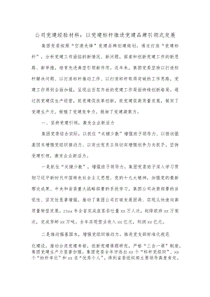 公司党建经验材料以党建标杆推进党建品牌引领式发展.docx
