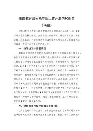 主题教育巡回指导组工作开展情况报告（两篇）.docx