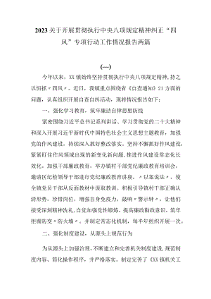 2023关于开展贯彻执行中央八项规定精神纠正“四风”专项行动工作情况报告两篇.docx