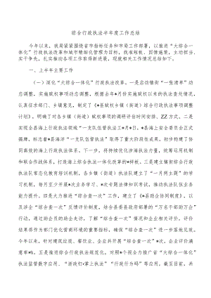 综合行政执法半年度工作总结.docx