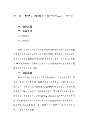 关于召开2023年主题教育专题民主生活会的工作方案.docx