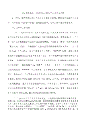 综合行政执法上半年工作总结和下半年工作思路.docx