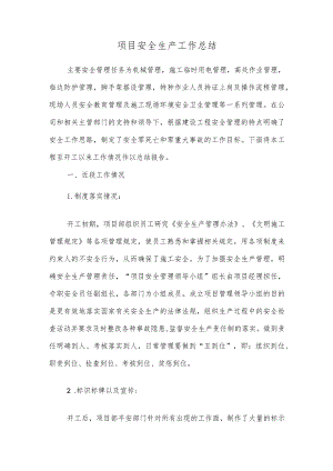 项目安全生产工作总结.docx