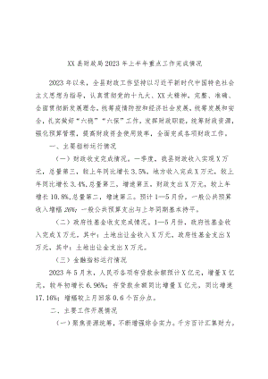 XX县财政局2023年上半年重点工作完成情况范本.docx