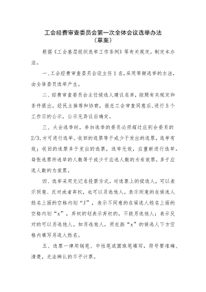 （工会换届）经费审查委员会第一次全体会议选举办法.docx