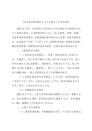 优选XX县财政局2023年上半年重点工作完成情况.docx