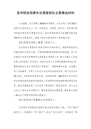 某市税务局青年志愿服务队主要事迹材料.docx