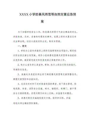 小学防暴风雨雪等自然灾害应急预案.docx