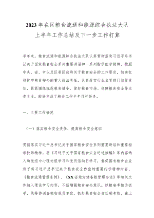 2023年在区粮食流通和能源综合执法大队上半年工作总结及下一步工作打算.docx