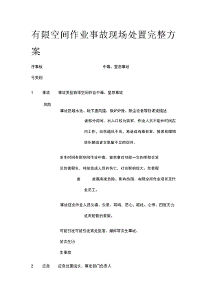 有限空间作业事故现场处置完整方案.docx