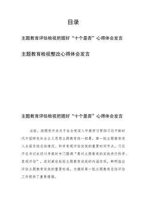 主题教育评估检视把握好“十个是否”心得体会发言、主题教育检视整改心得体会发言.docx