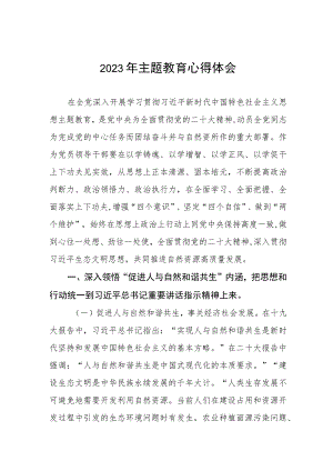 自然资源干部关于2023年主题教育心得体会六篇.docx