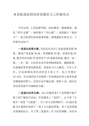 X县促进民营经济发展壮大工作新亮点.docx