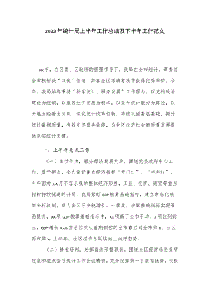 2023年统计局上半年工作总结及下半年工作范文.docx