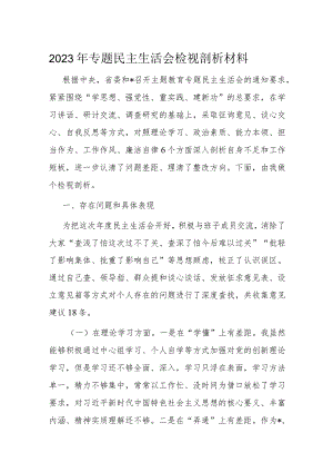 2023年专题民主生活会检视剖析材料.docx