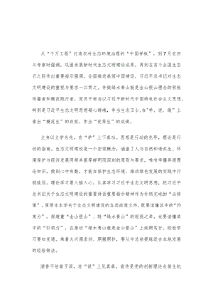 巩固发展新时代生态文明建设成果争当生态卫士发言稿.docx