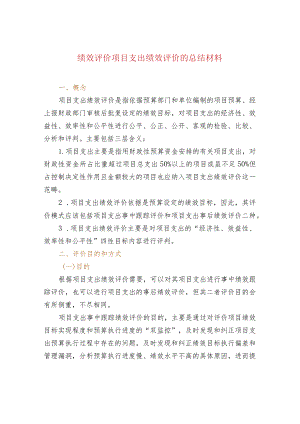绩效评价项目支出绩效评价的总结材料.docx