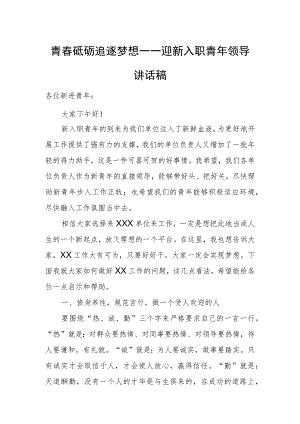 青春砥砺 追逐梦想——迎新入职青年领导讲话稿.docx