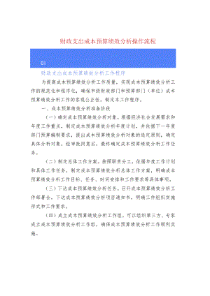 财政支出成本预算绩效分析操作流程.docx