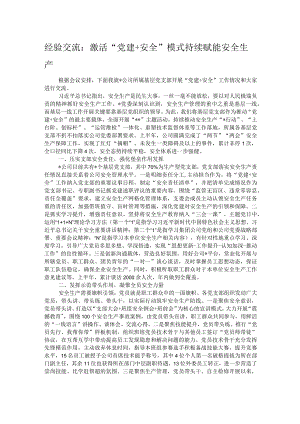经验交流：激活“党建+安全”模式 持续赋能安全生产.docx